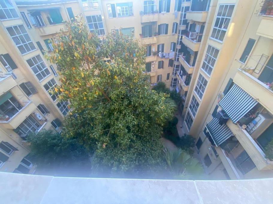 Apartmán Domus Giulia & Andrea Řím Exteriér fotografie